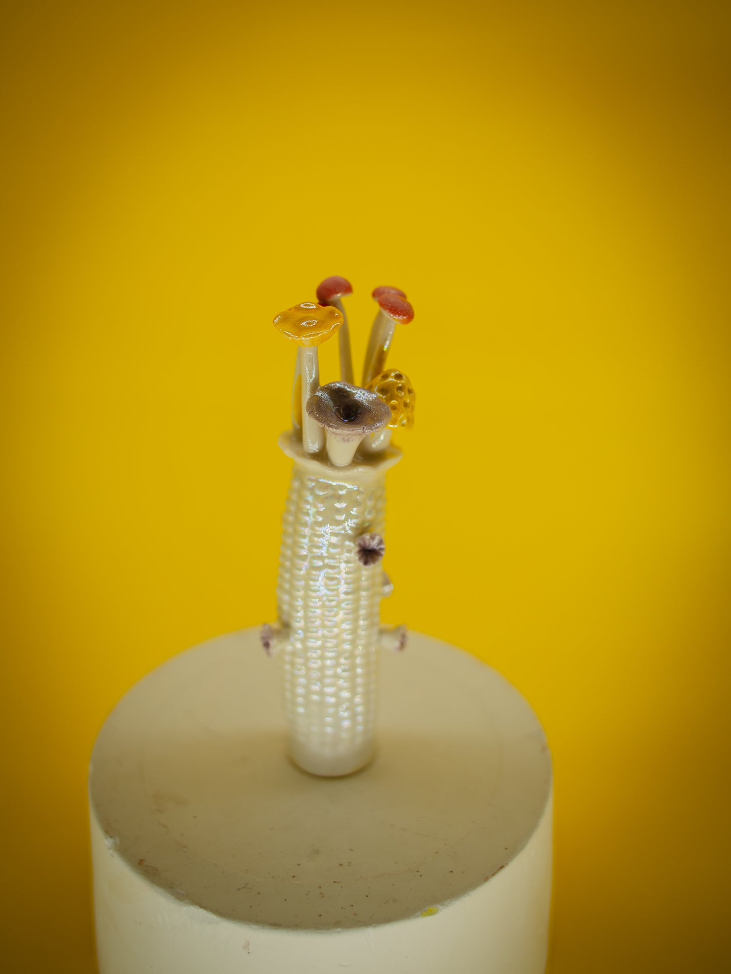 Mini  Corn (Insence Holder)